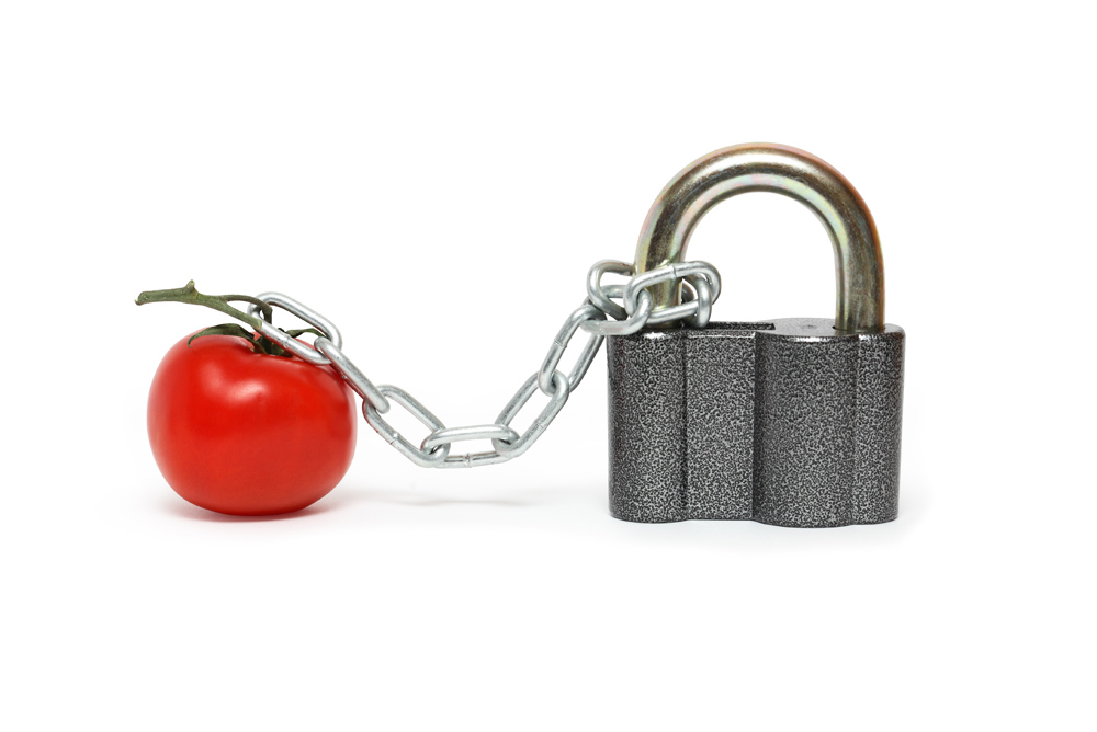 Agri-food industry: new draft standard ISO 22000 is open for comments
