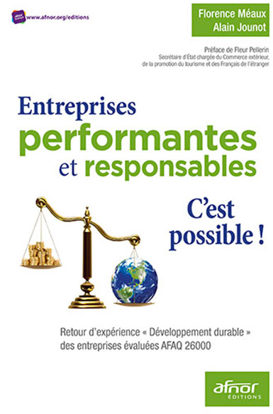 Le guide du développement durable en entreprise (ED ORGANISATION) (French Edition)