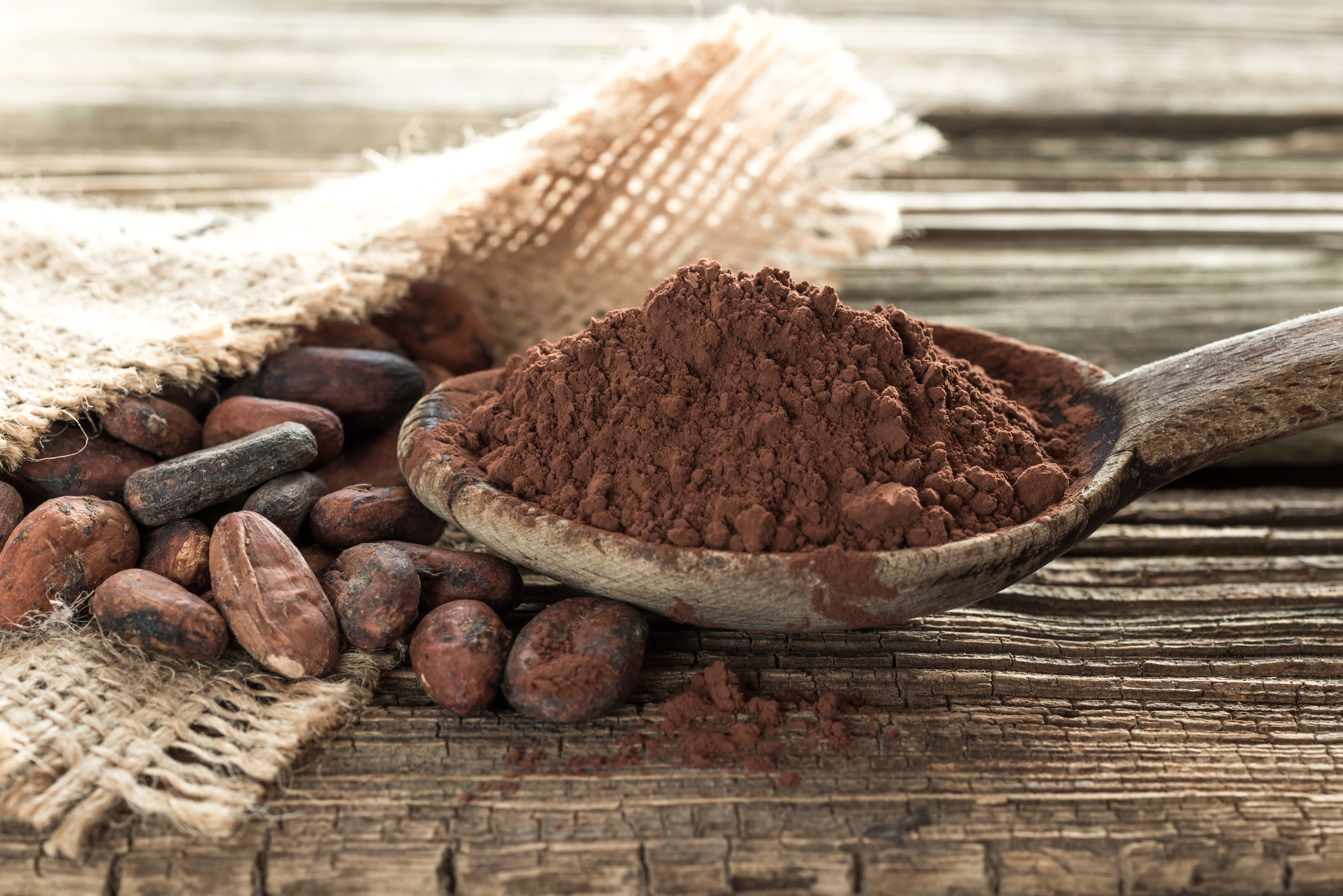 Projet de norme sur le cacao durable
