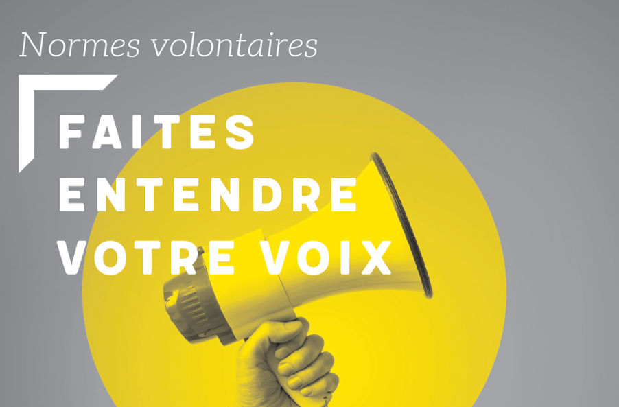 Couverture du flipbook pour comprendre les normes volontaires