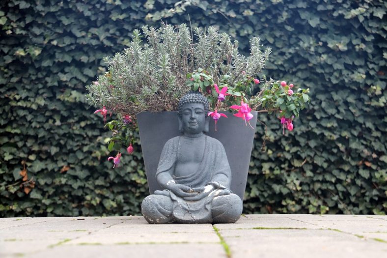 Photo d'un Bouddha - Professionnels du bien-être, exercez relax avec les normes volontaires