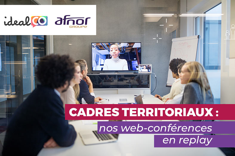 Afnor web-conférences en replay