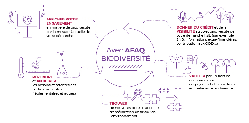 infographie AFAQ biodiversité