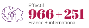 Effectifs Afnor