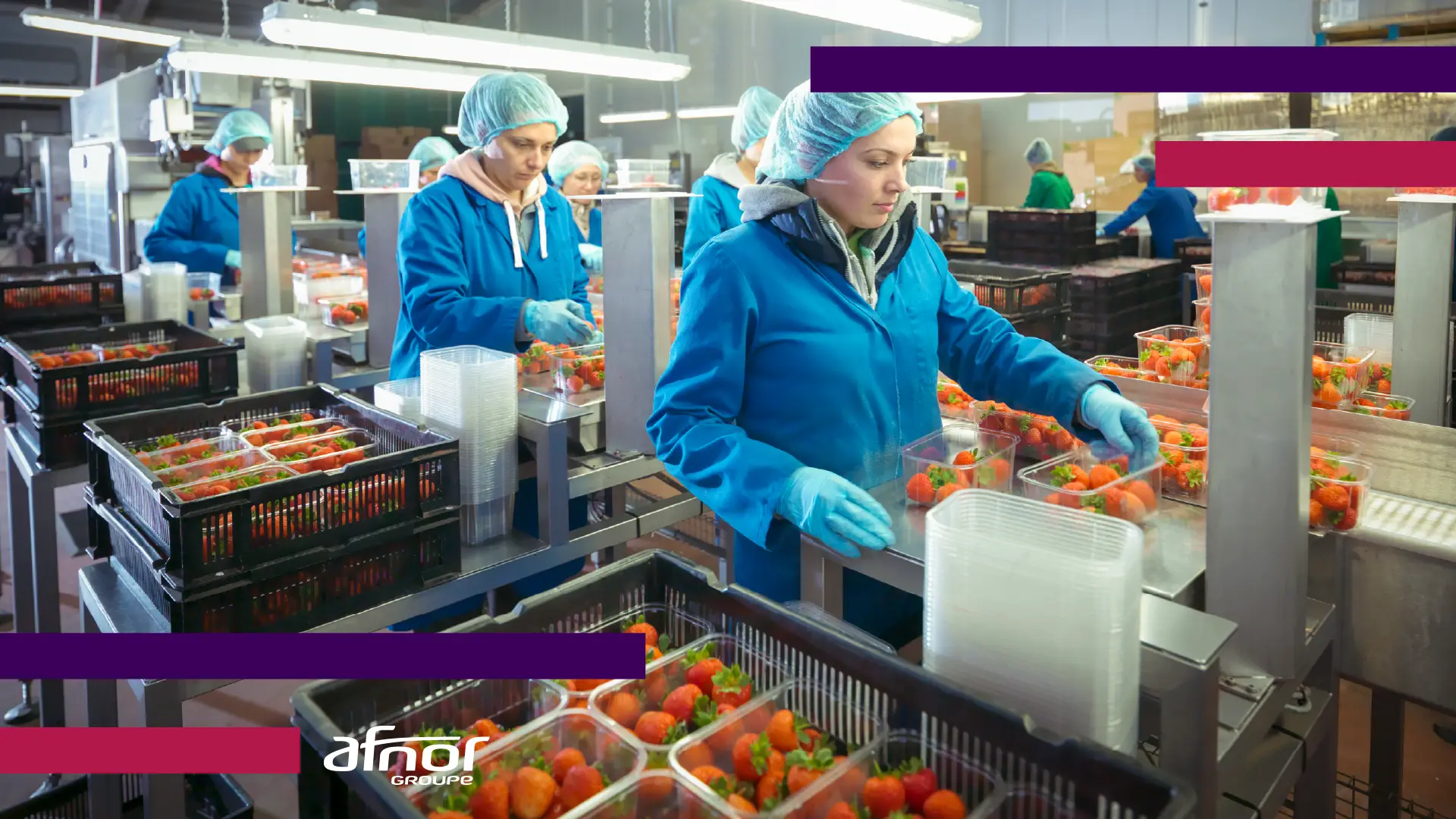 S curit Des Aliments D couvrez Les Derni res Avanc es Groupe AFNOR