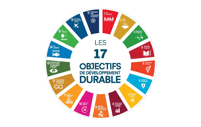 Les 17 objectifs de développement durable (ODD)