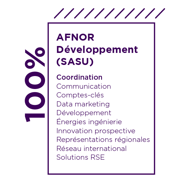 Tableau Afnor Développement SASU