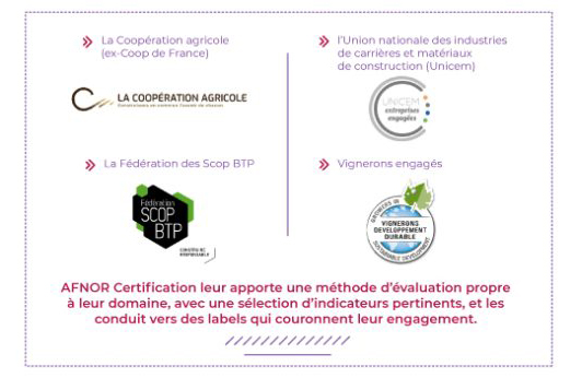 Afnor Schéma : Décliner l’ISO 26000 à son secteur et son activité