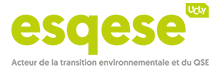 esquese-logo